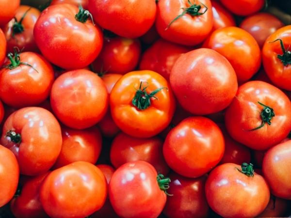 A close-up view of a pile of fresh, ripe red tomatoes with smooth, shiny skin—perfect for home gardening enthusiasts looking for tomato tips. Some have green stalks attached and are closely packed together, filling the entire frame.