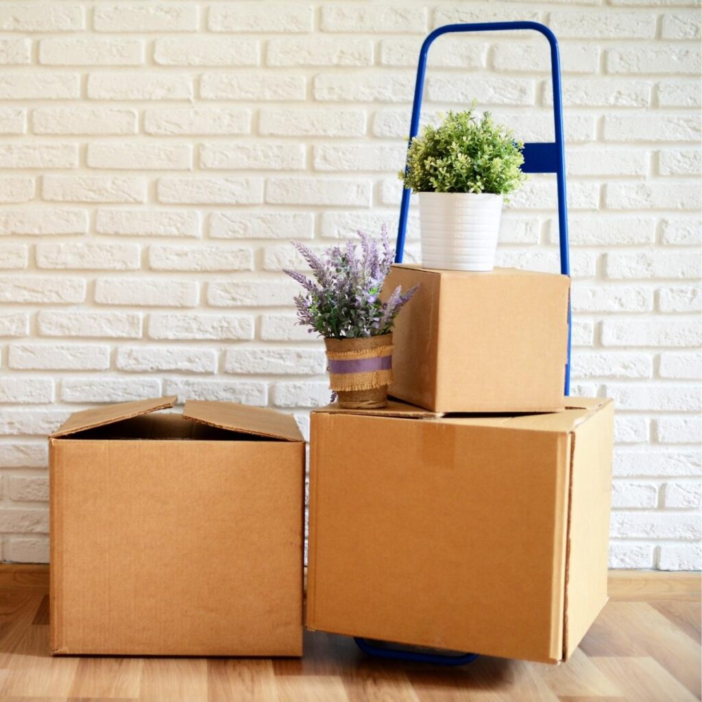 A blue sack truck stacked with three brown cardboard boxes—perfect for moving house—holds two potted plants, one green and one with purple flowers. The scene is set against a white brick wall and wooden floor.