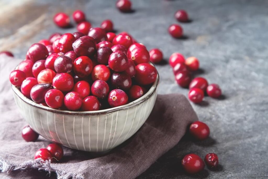cranberries in a bowl on grey surface