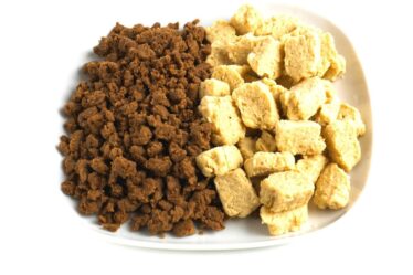 A white plate holds two types of textured soya protein, a popular meat substitute: one side has small, dark brown soya granules, and the other has larger, light beige soya chunks. Both are neatly separated and set against a plain white background.