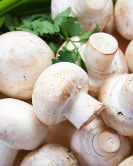 Several fresh white mushrooms with smooth caps and short stems are arranged closely together on a wooden surface—an inviting sight for any mushroom enthusiast. Green herbs, including parsley and spring onions, add vibrant contrast in the background.